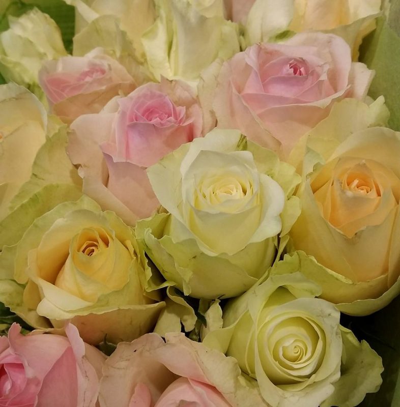 Roses