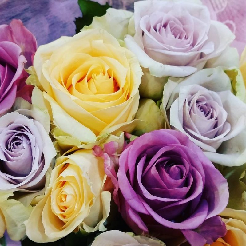 Roses