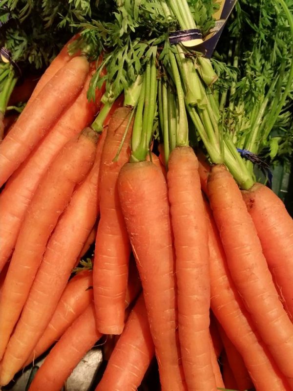 Carrot Seed