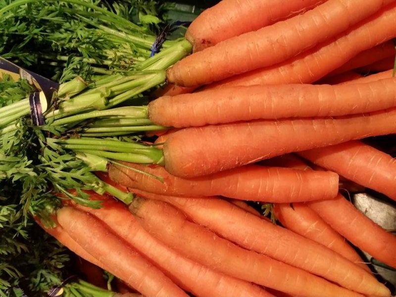 Carrot Seed