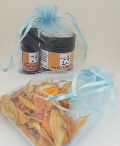 Blue Organza Bags Large