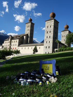 Brigg, Switzerland