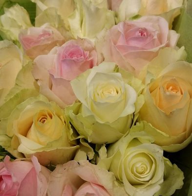 Therapeutic Roses