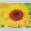 Gift Vouchers