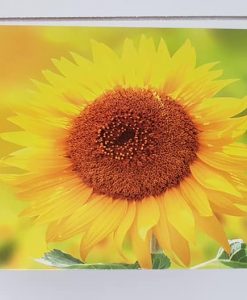 Gift Vouchers
