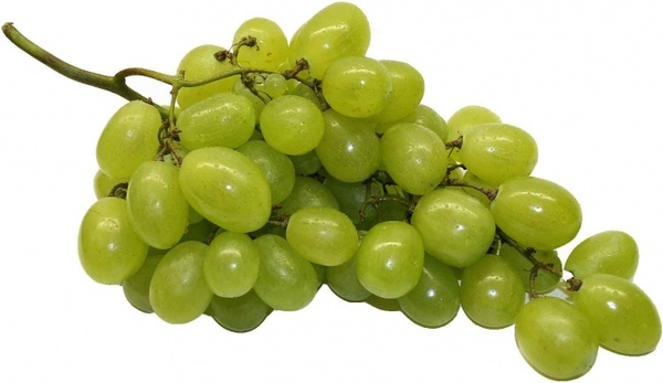 Grapeseed Oil