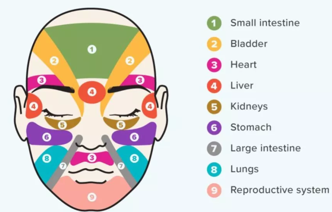 Chinese Face Mapping Dec19