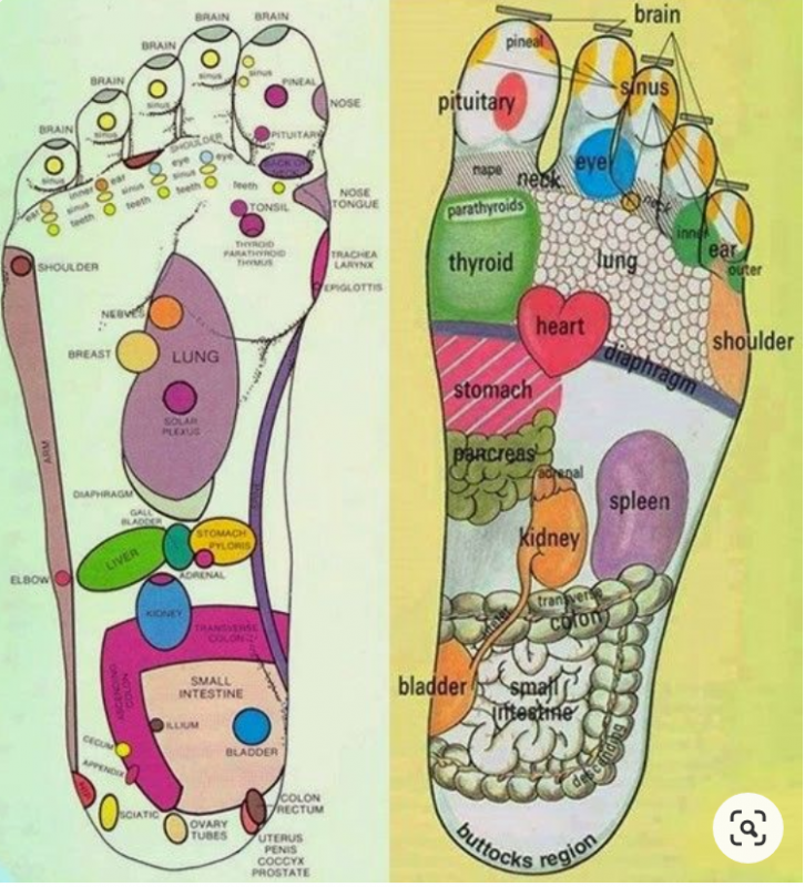 Reflexology Foot Map Dec19