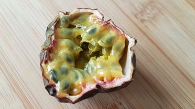 Passion Fruit