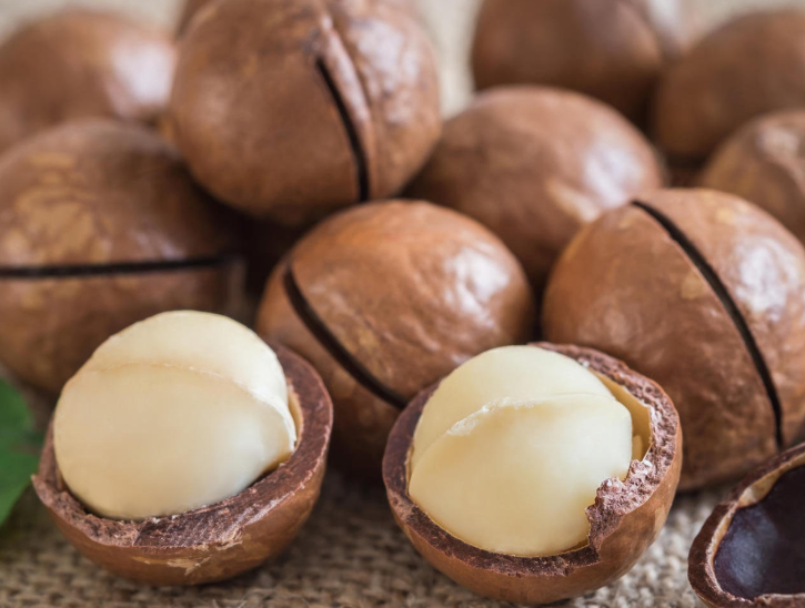 Macadamia