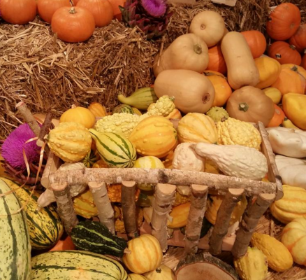Pumpkins in Germany