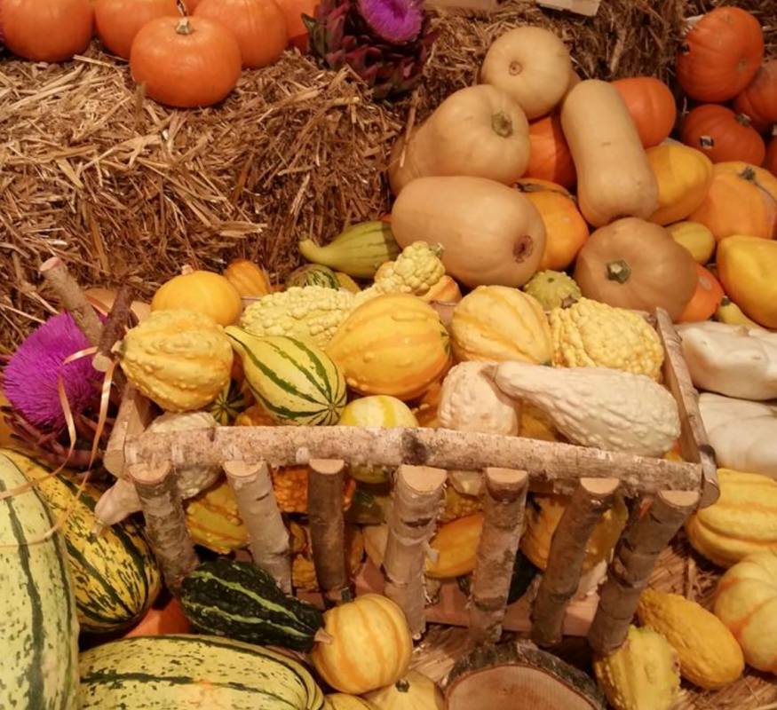 Pumpkins in Germany